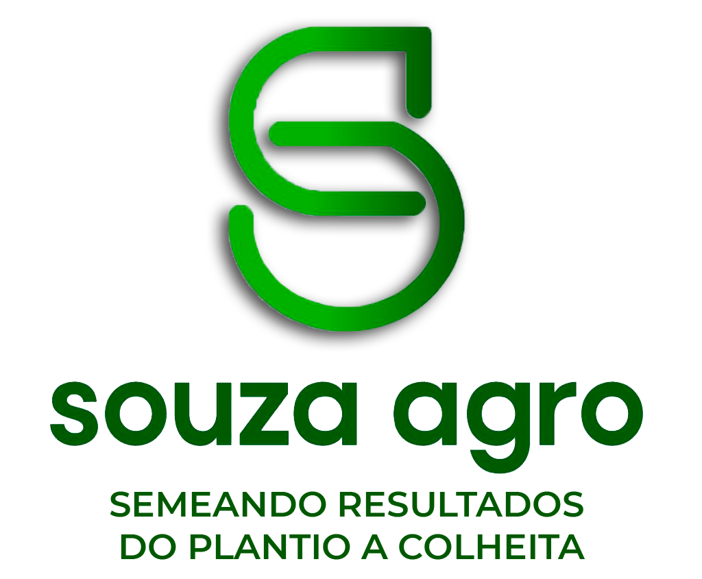 Logo-fundo-transparente