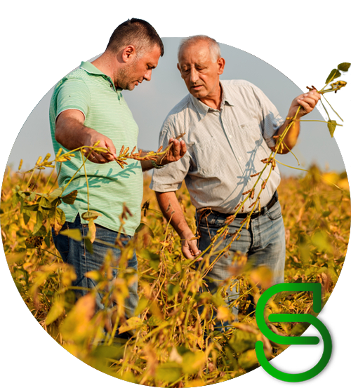 souza-agro-sempre-com-voce